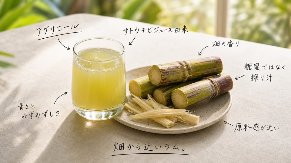 サトウキビジュースと切ったサトウキビに、ラムアグリコールの特徴を手書き注釈で示した写真
