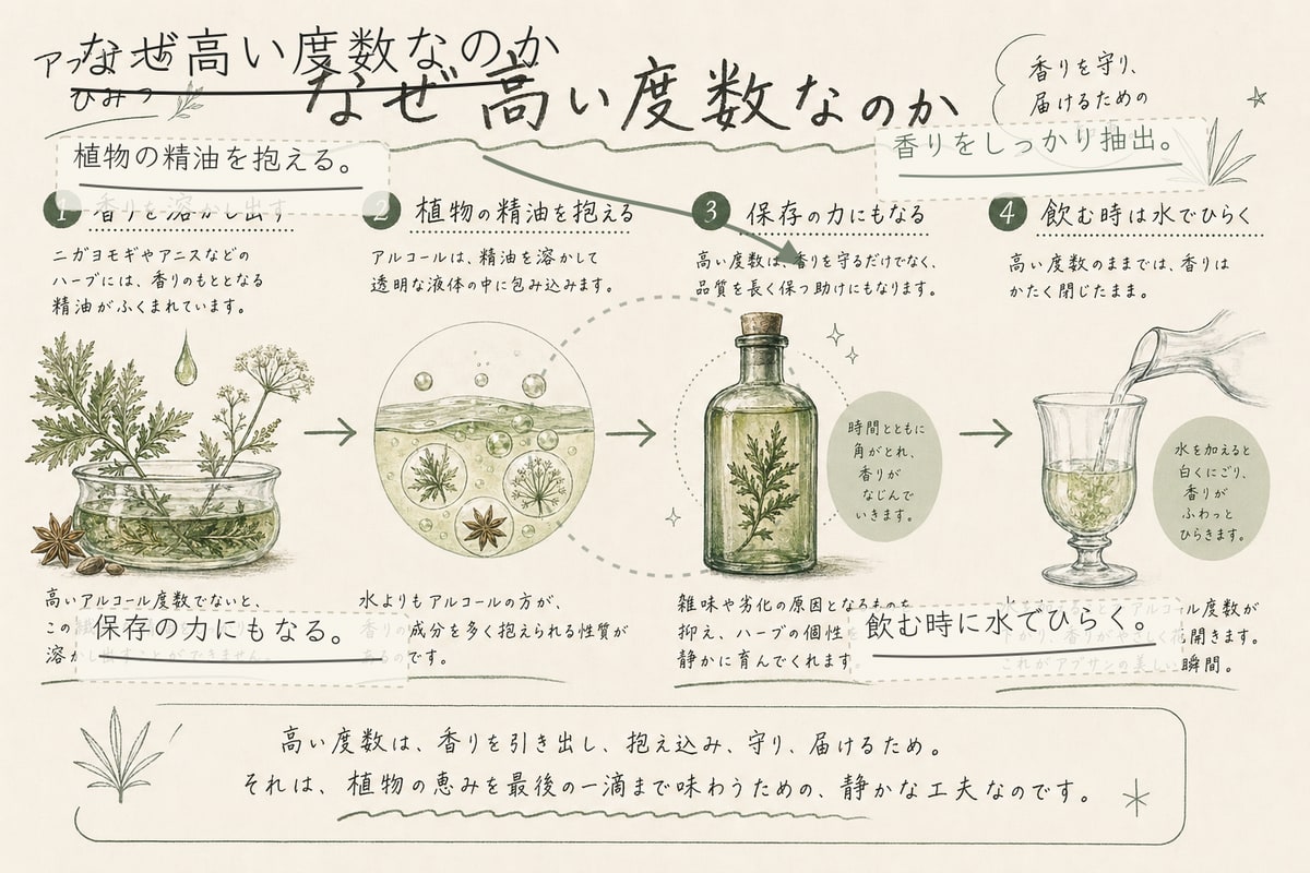 アブサンが高い度数である理由を説明する手書き注釈入りインフォグラフィック