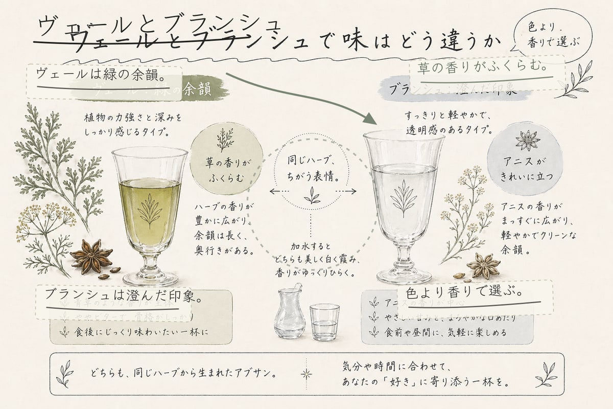 ヴェールとブランシュの味の違いを説明する手書き注釈入りインフォグラフィック