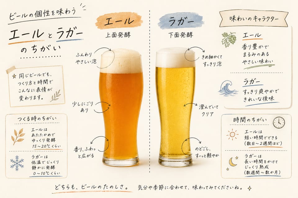 エールとラガーの違いとは？酵母・発酵・味の違いを解説：エールとラガーの違いの核心