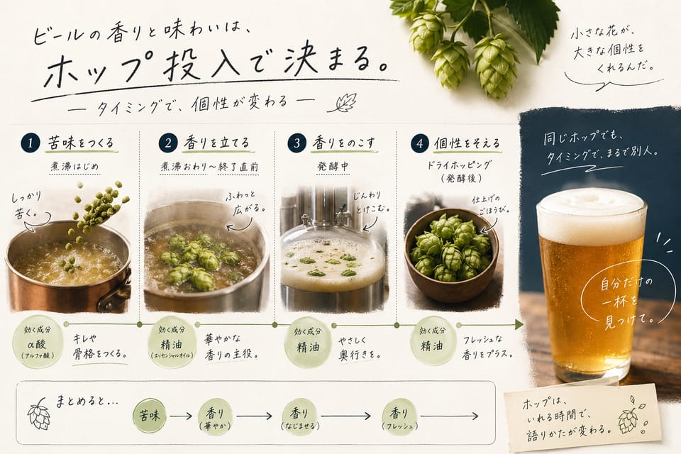 ビールの作り方とは？原料・工程・味が決まる仕組みを解説：ホップ投入で何が決まるか