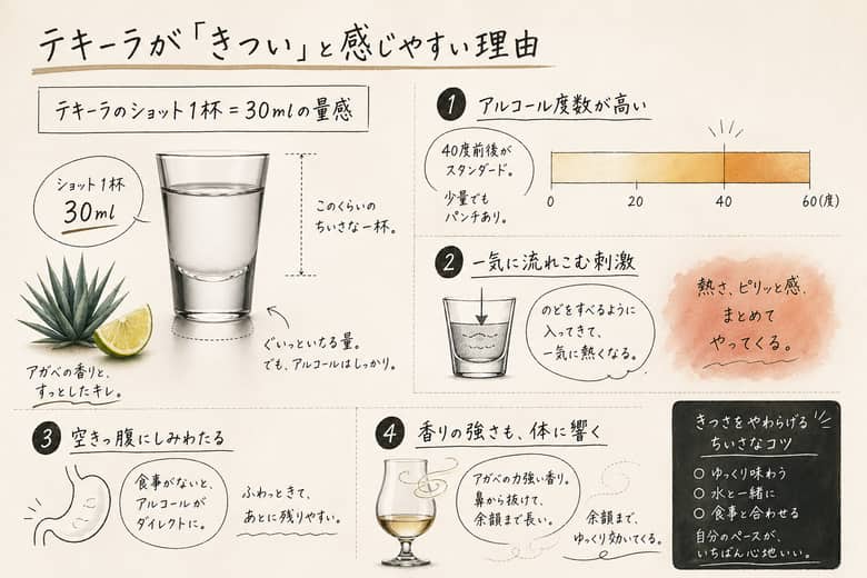 テキーラのショット1杯30mlの量感：テキーラが『きつい』と感じやすい理由
