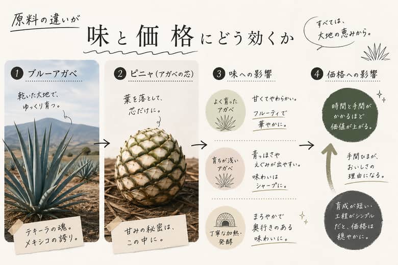 テキーラの原料であるブルーアガベとピニャ：原料の違いが味と価格にどう効くか